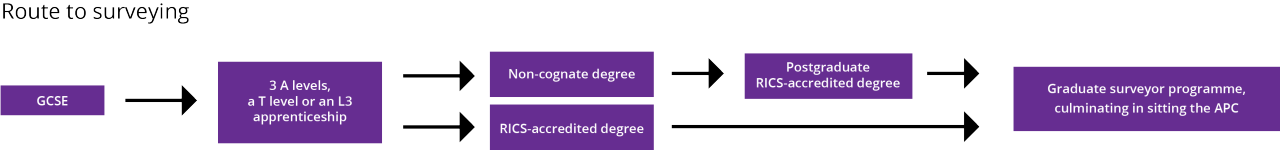 A route to surveying diagram showing that after GCSE's and further education it's possible to take a RICS accredited degree then move to a graduate surveyor programme, or take a non-cognate degree, postgraduate RICS accredited degree and then graduate surveyor programme