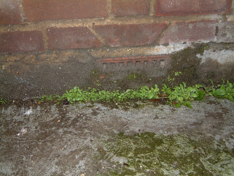 A close-up photograph of the lower four courses in a red brick wall, with weeds growing where it meets the ground. There is an airbrick very close to ground level. The holes in the airbrick are blocked with dirt.