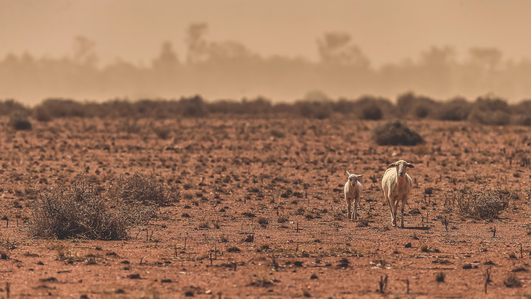 The future for water in Australia