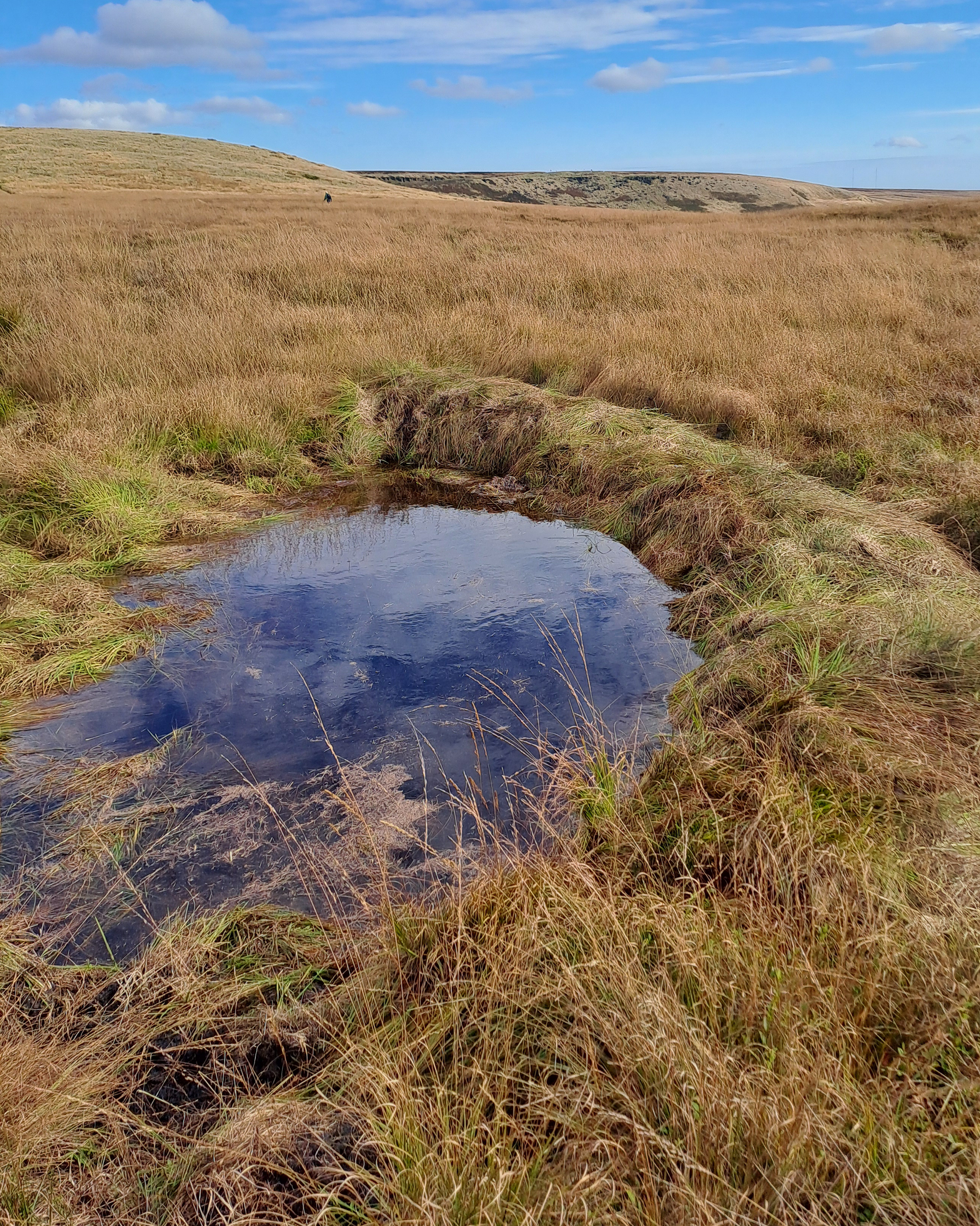 Turf dam in Yorkshire to slow down water and remediate flooding