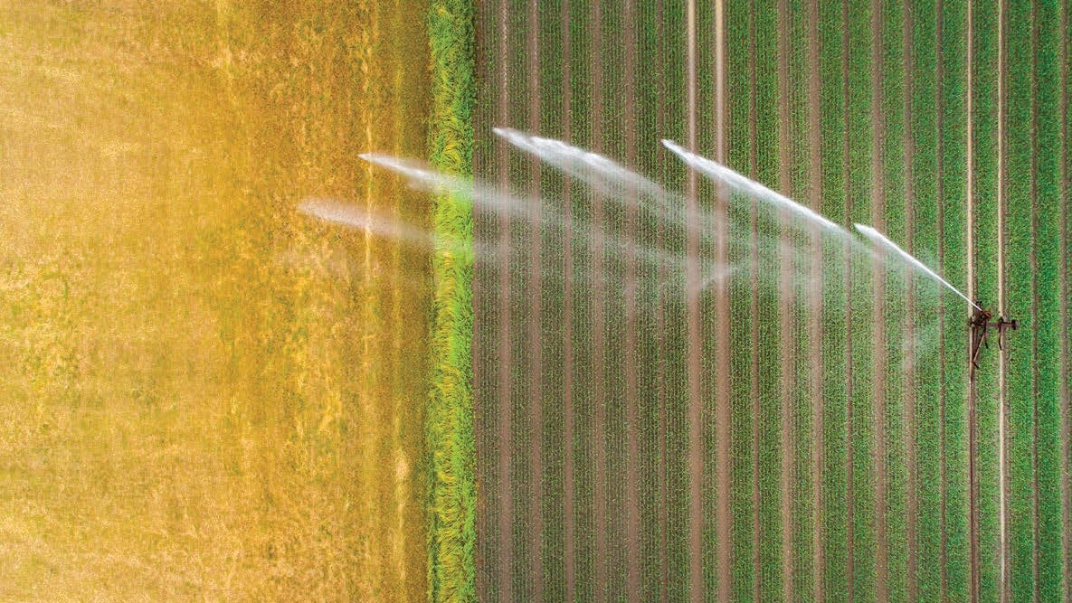 Making the most of water for agriculture