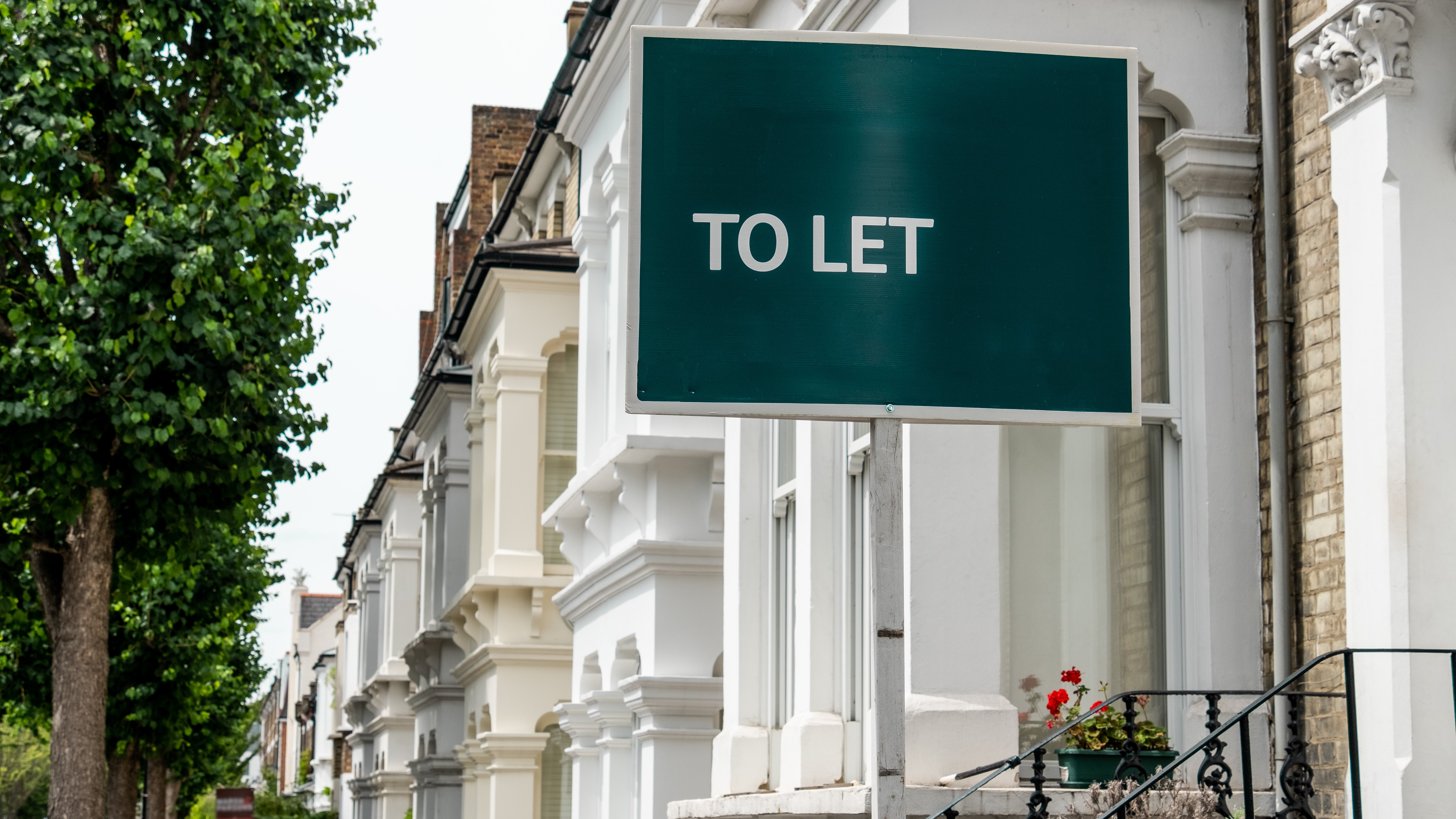 An estate agency 'To Let' sign board