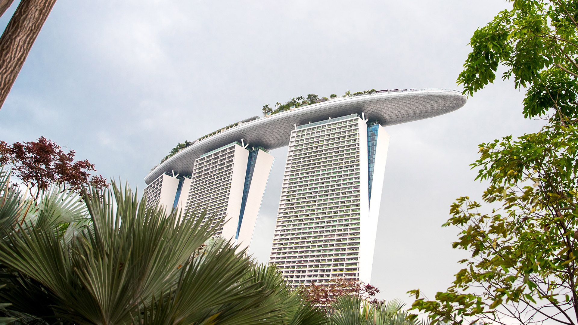 Really low angle photo of Marina Sands Bay from the bushes