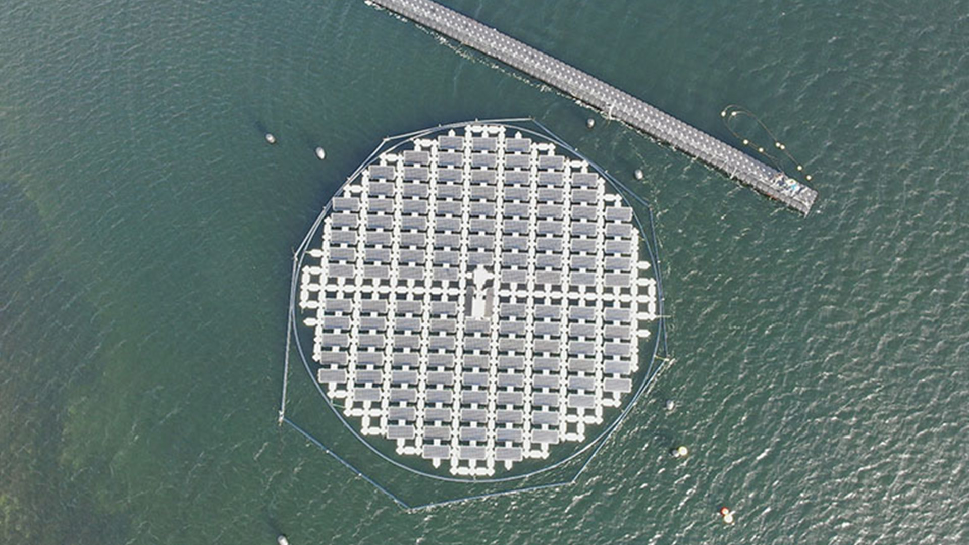 Aerial view of solar panels floating on water