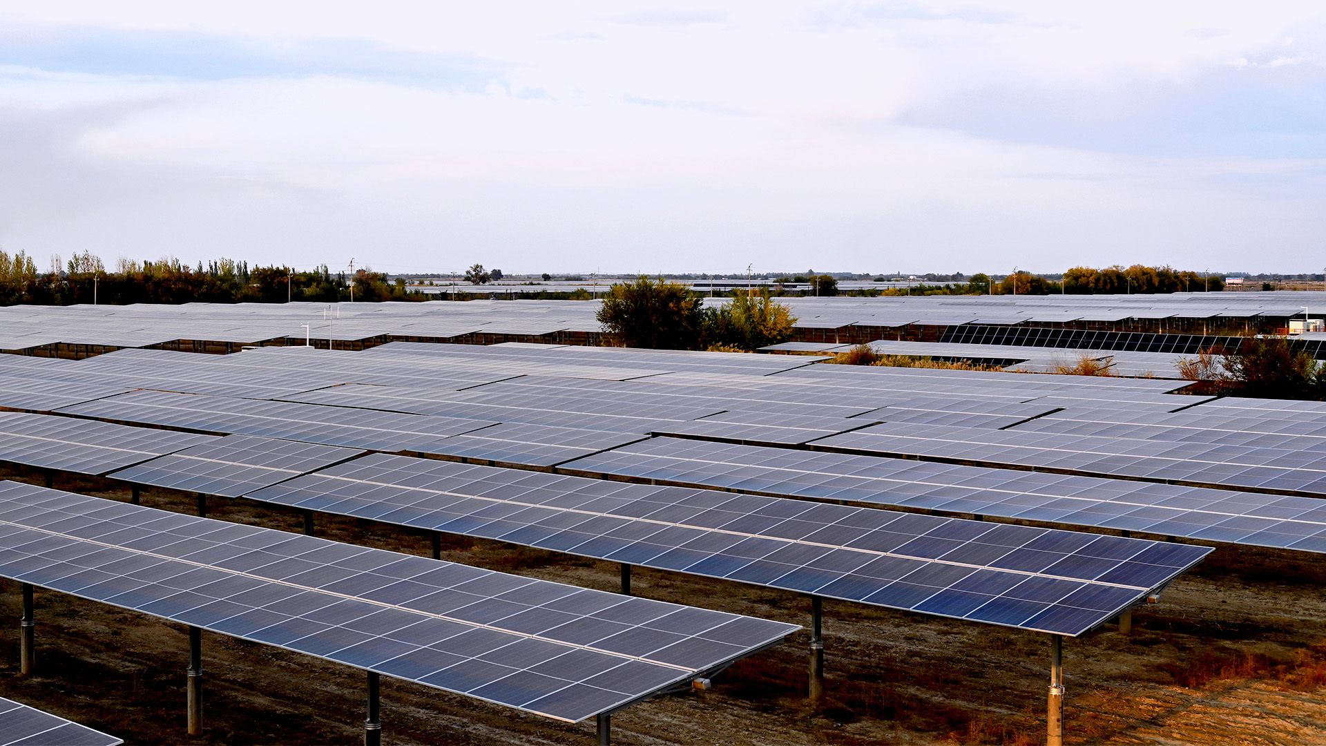 Solar panels in field