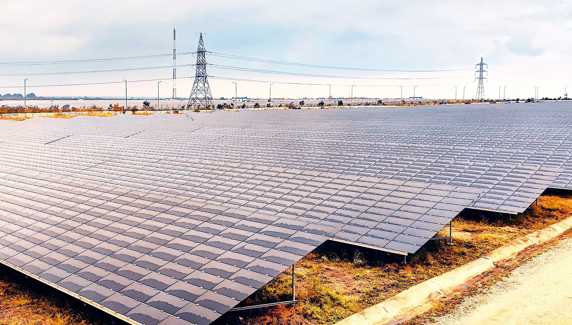 Rows of solar panels