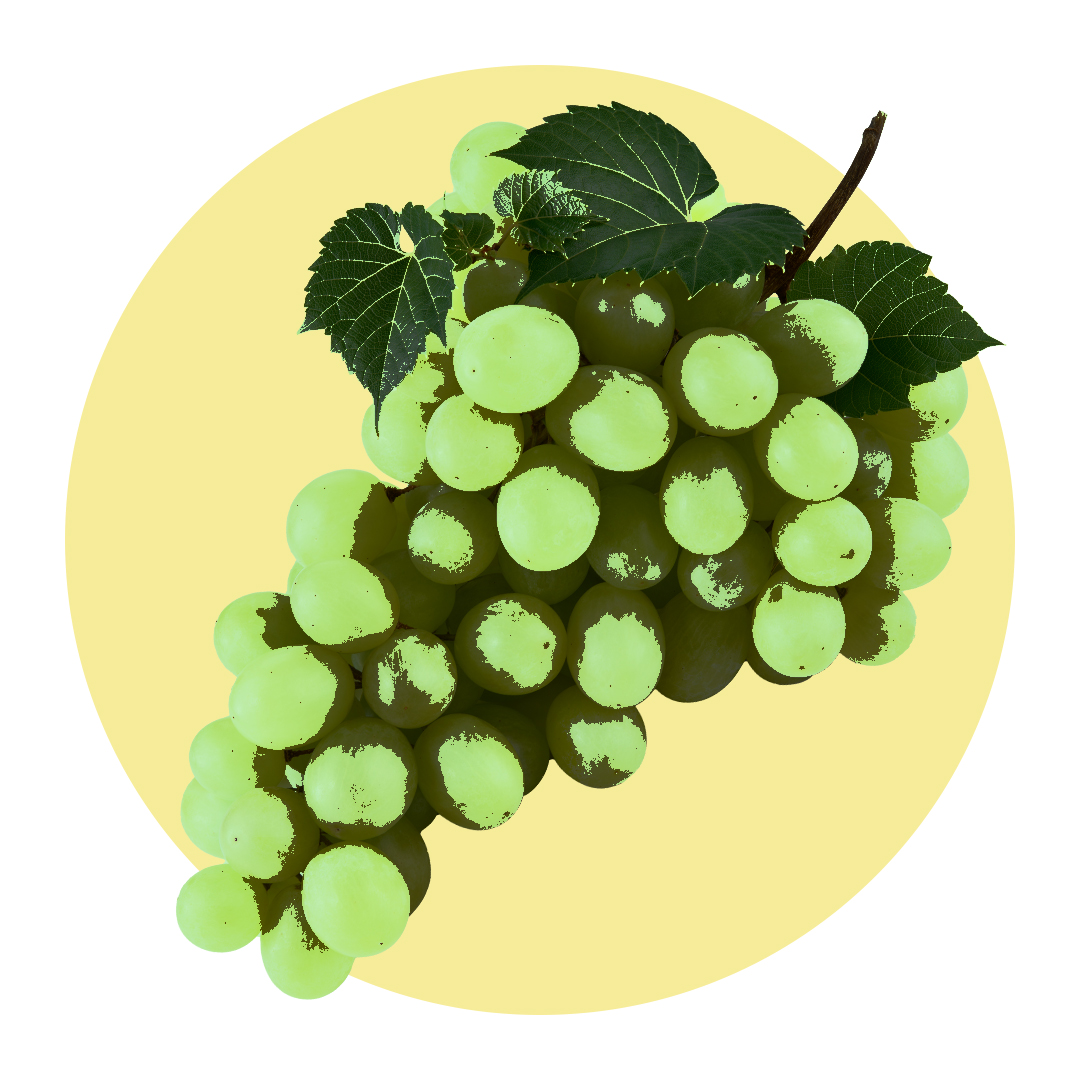 Bunch of grapes