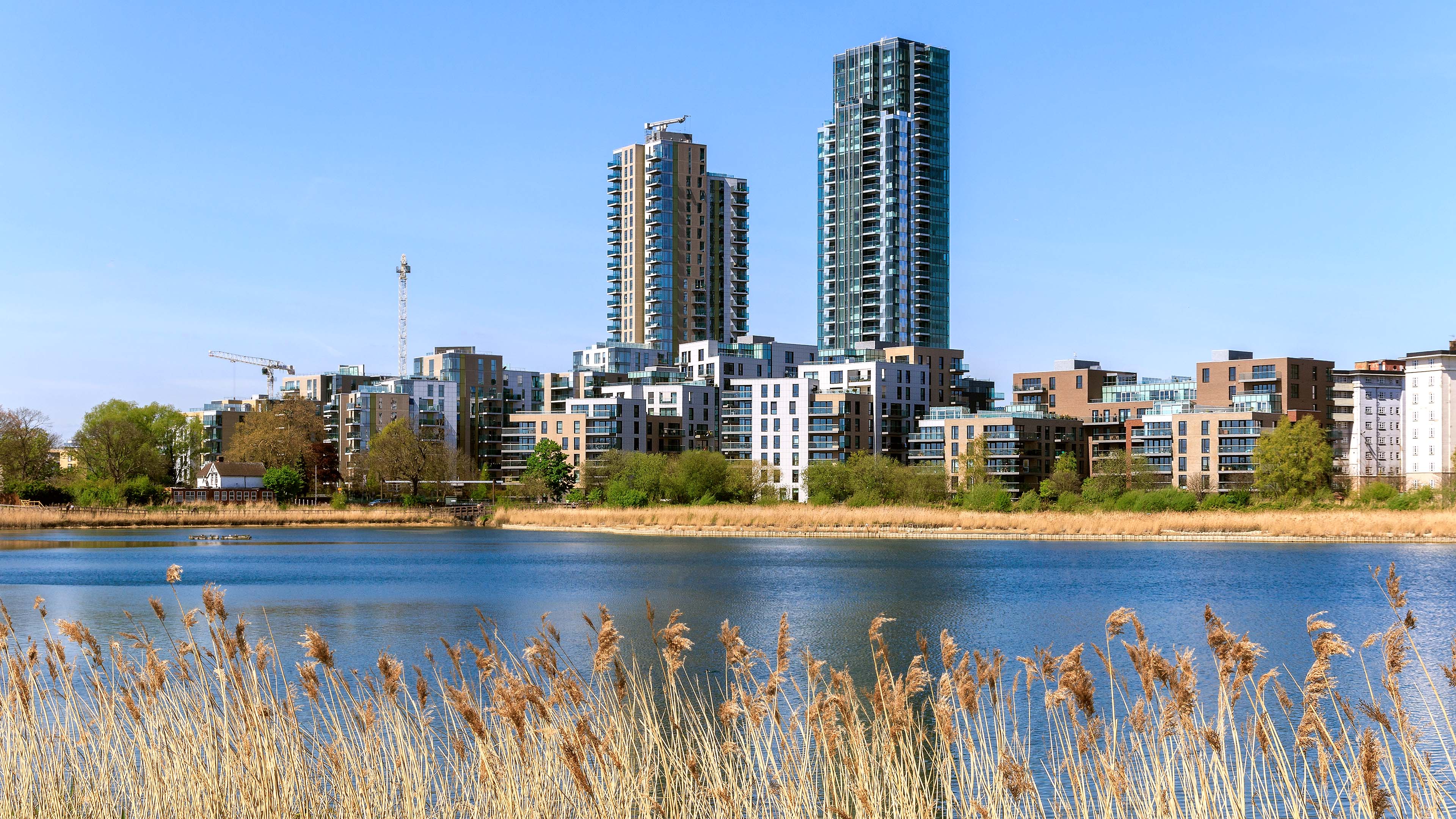 Pool of water with reeds in foreground and housing development in background