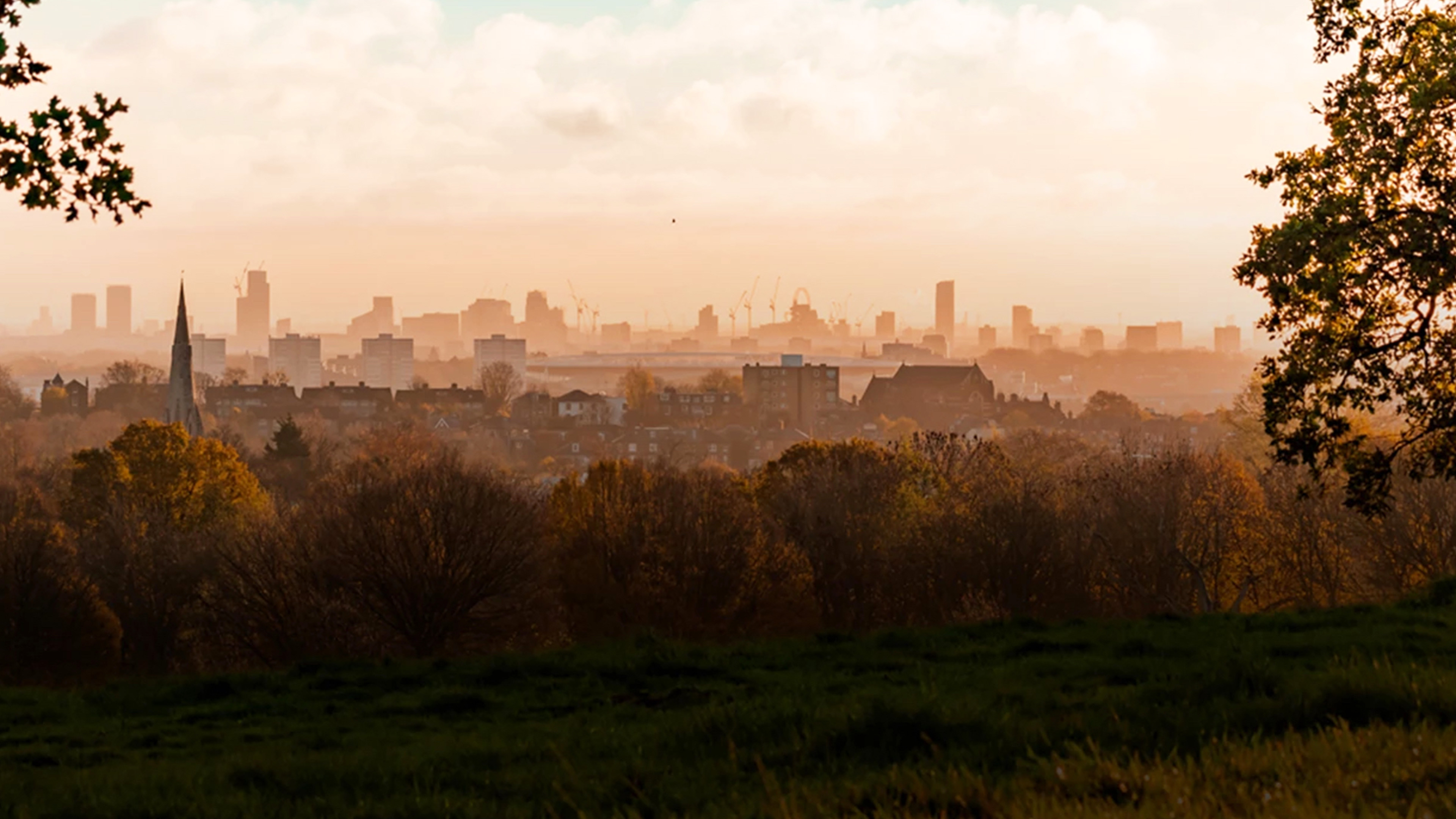 City skyline with fields in foreground