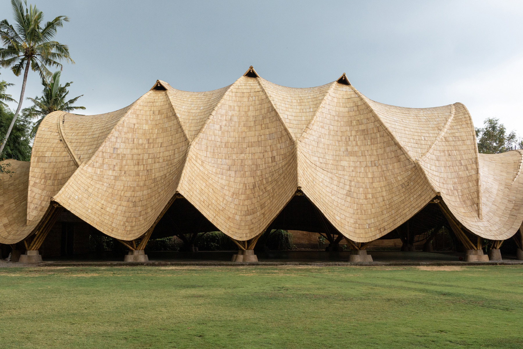 The Arc Green School