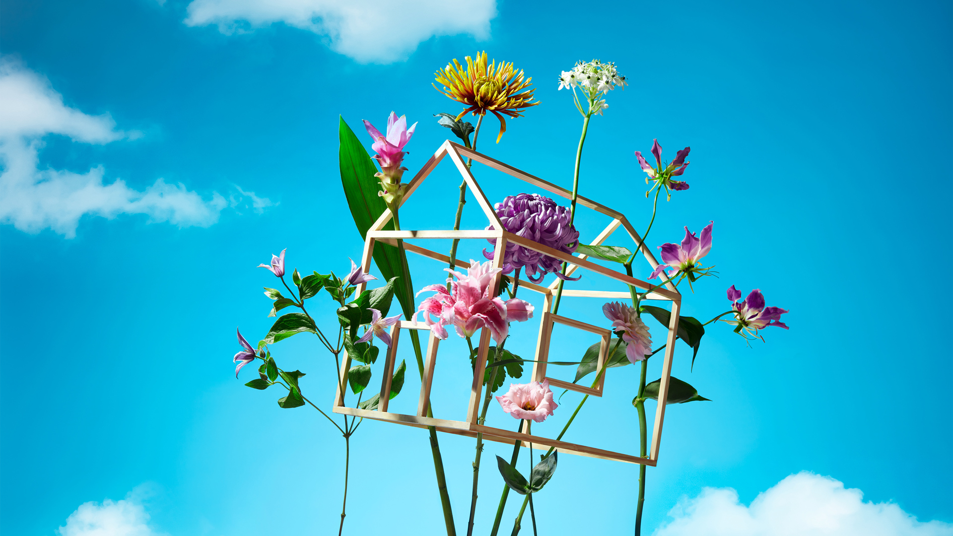 3D render of a wooden frame house with flowers coming out against a blue sky