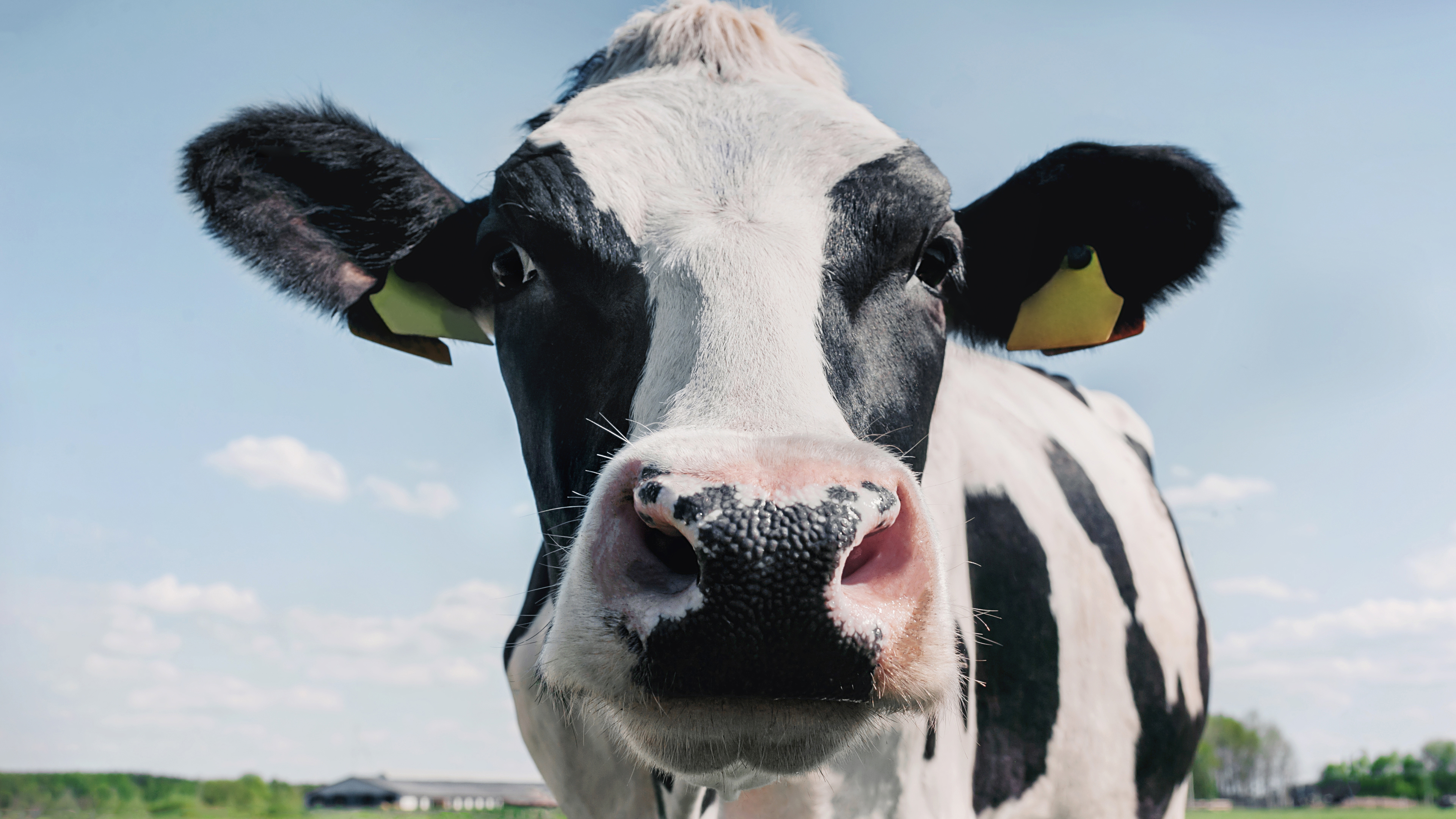 UK agriculture trading after Brexit