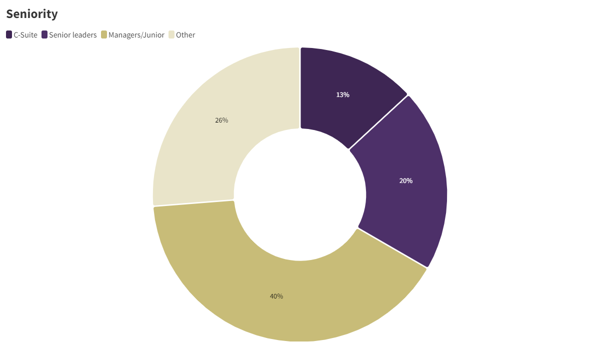 RICS WBEF seniority pie chart