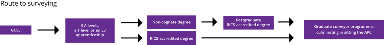 A route to surveying diagram showing that after GCSE's and further education it's possible to take a RICS accredited degree then move to a graduate surveyor programme, or take a non-cognate degree, postgraduate RICS accredited degree and then graduate surveyor programme