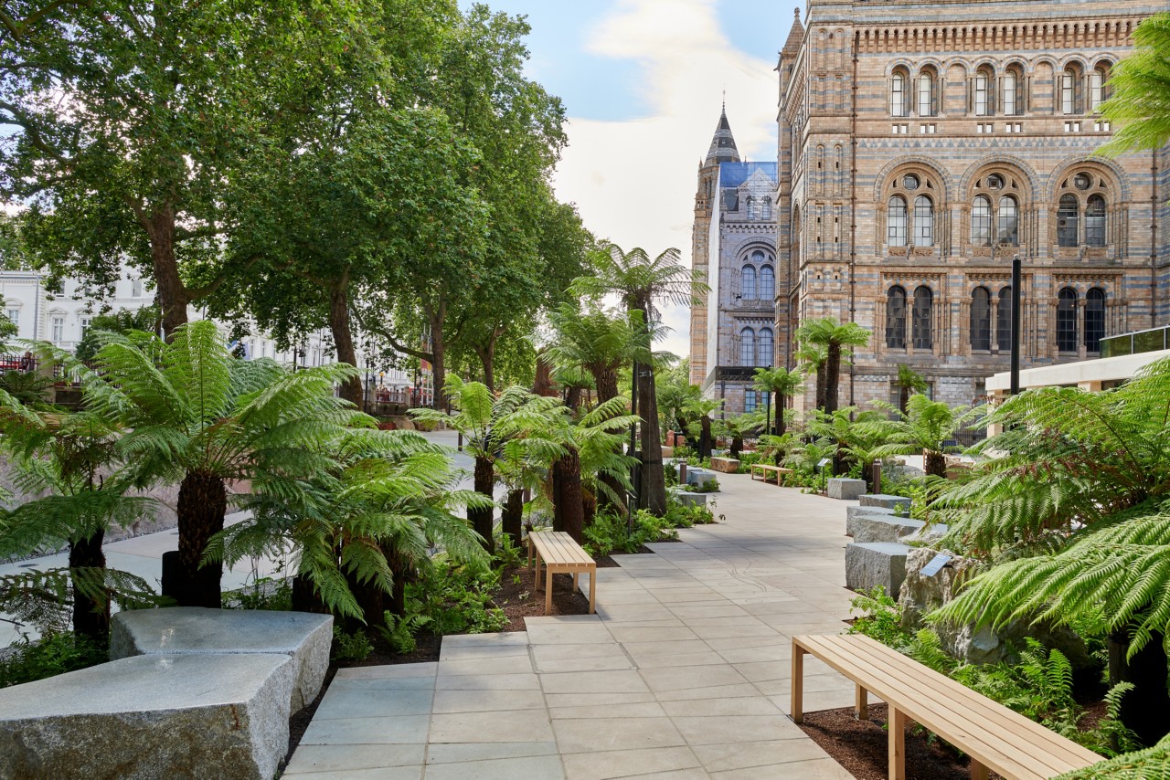 The Natural History Museum